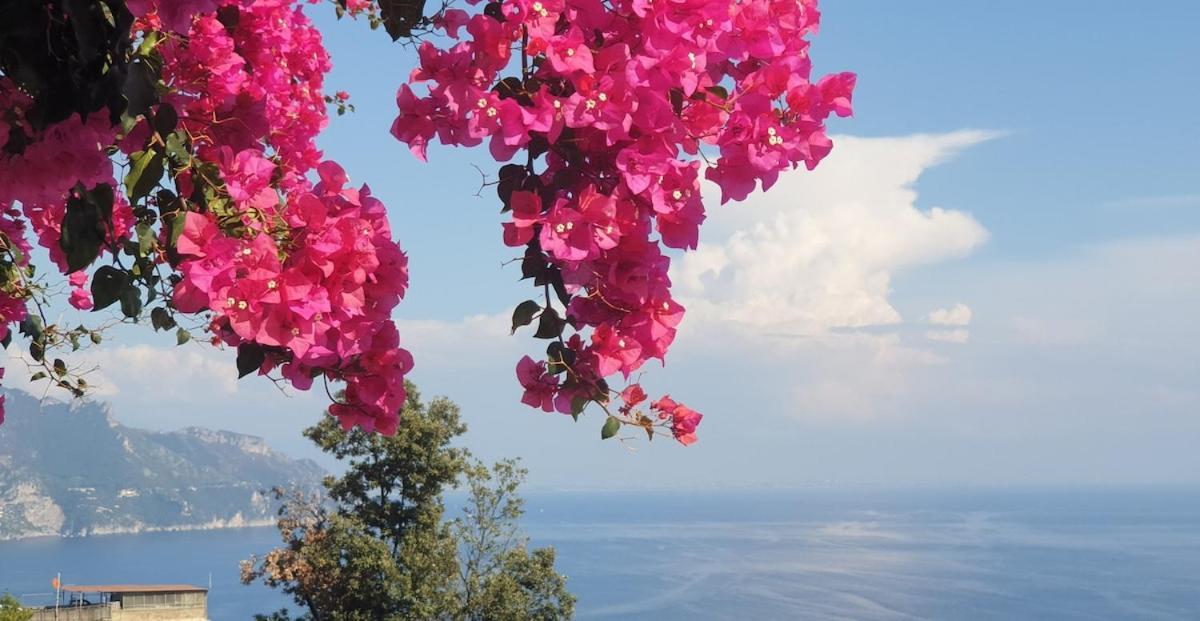 Villa Grace Amalfi Seaview Εξωτερικό φωτογραφία