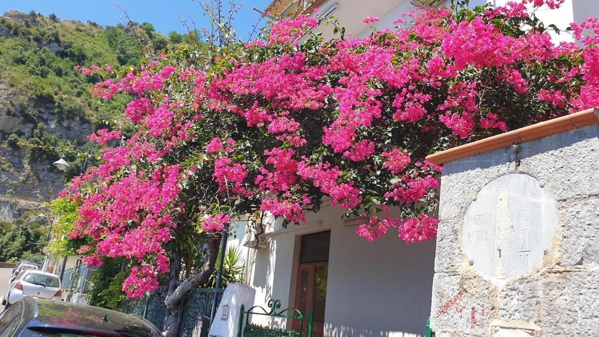 Villa Grace Amalfi Seaview Εξωτερικό φωτογραφία