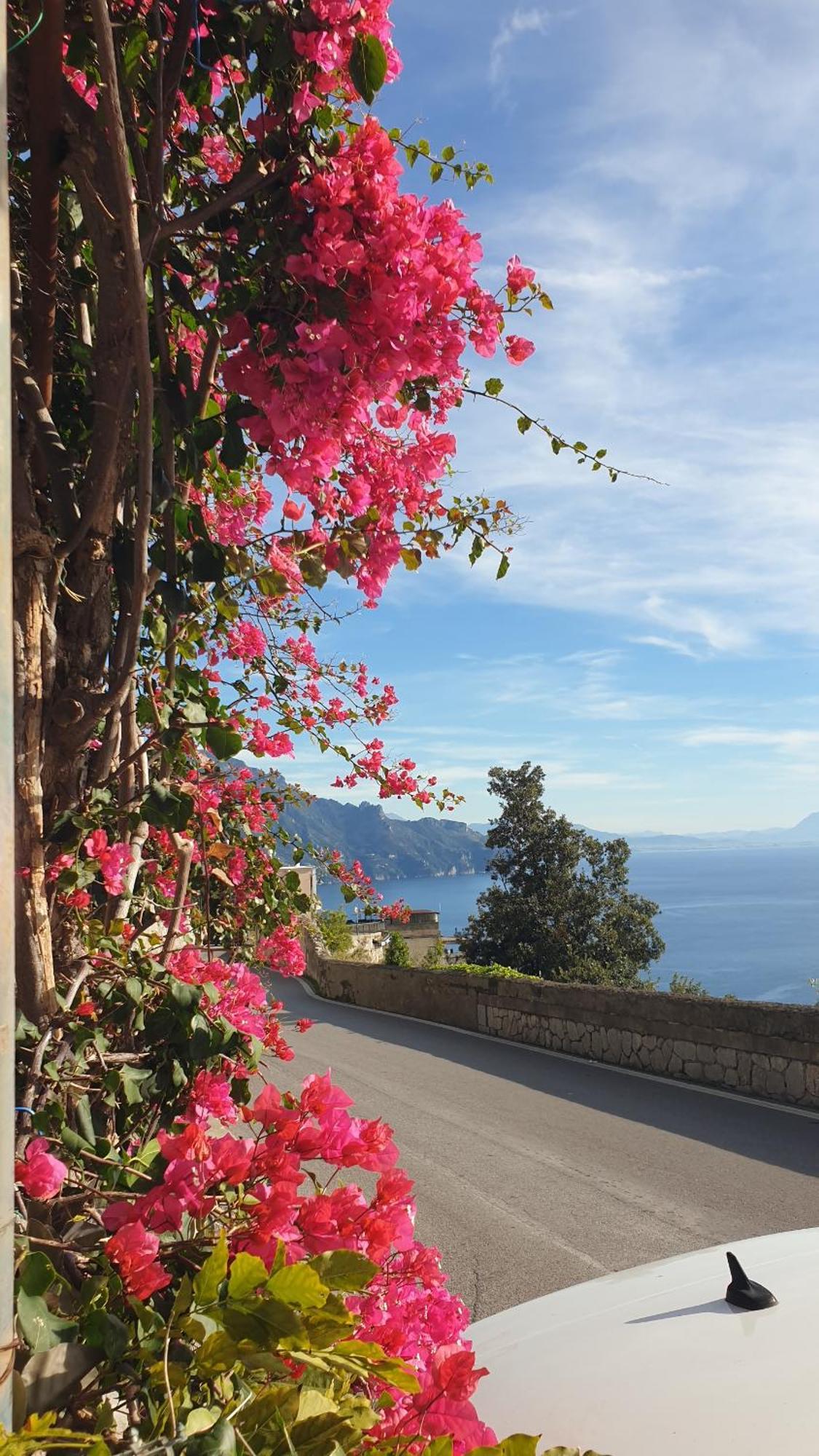 Villa Grace Amalfi Seaview Εξωτερικό φωτογραφία