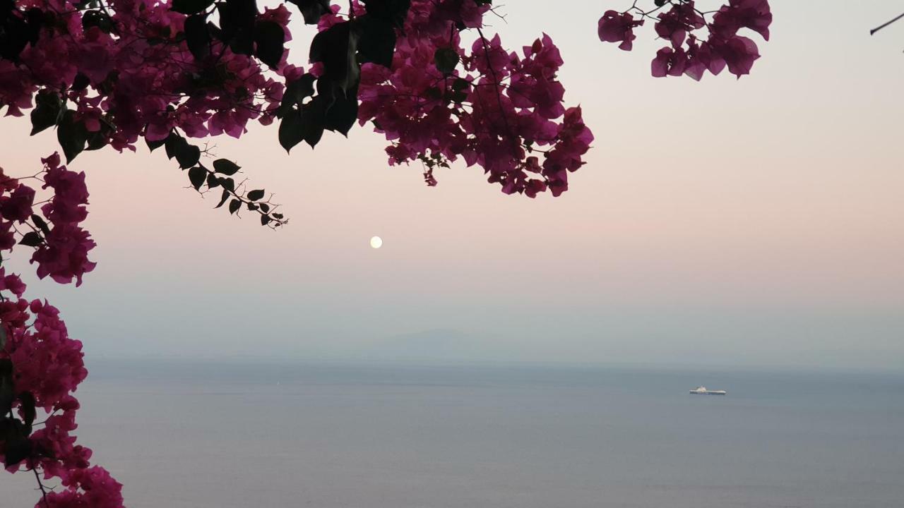 Villa Grace Amalfi Seaview Εξωτερικό φωτογραφία